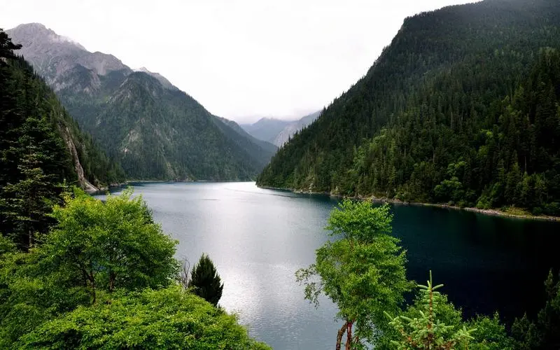 独特智能